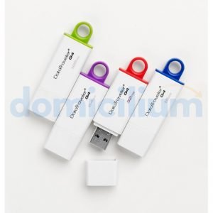 Memoria Flash Kingston DTIG4